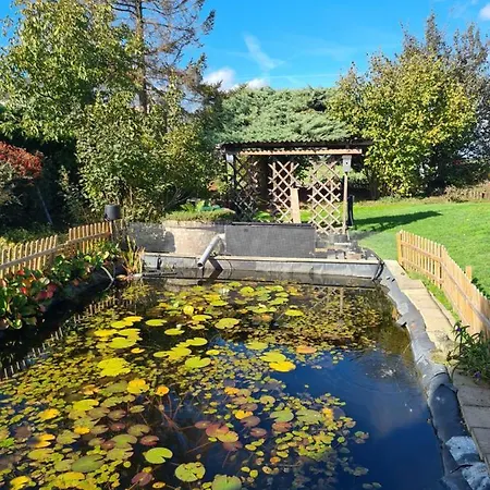 לינה וארוחת בוקר Rafikis Nest Inc Breakfast Koningsbosch